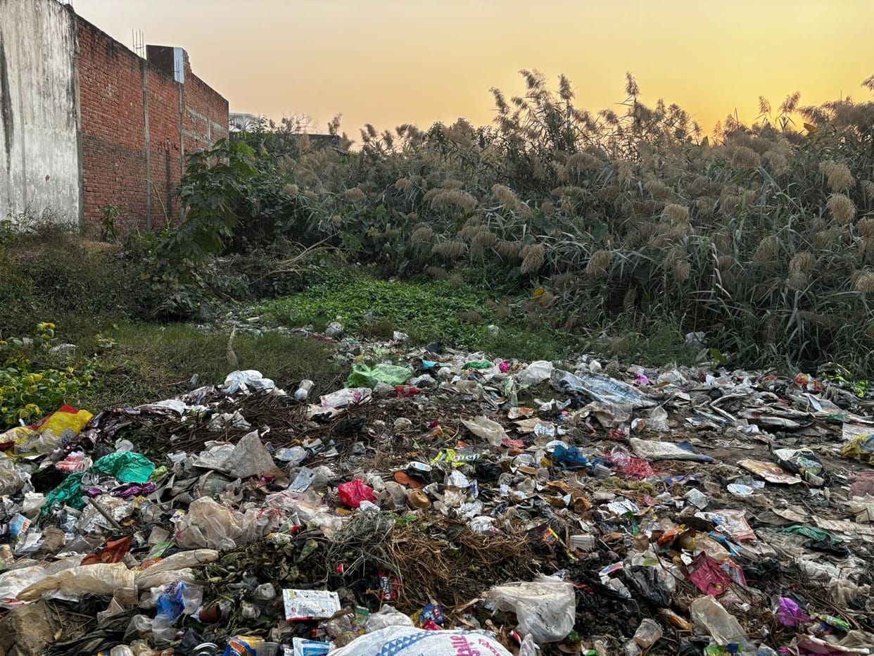 Existence of ponds in the city is in danger, action is taken only on paper