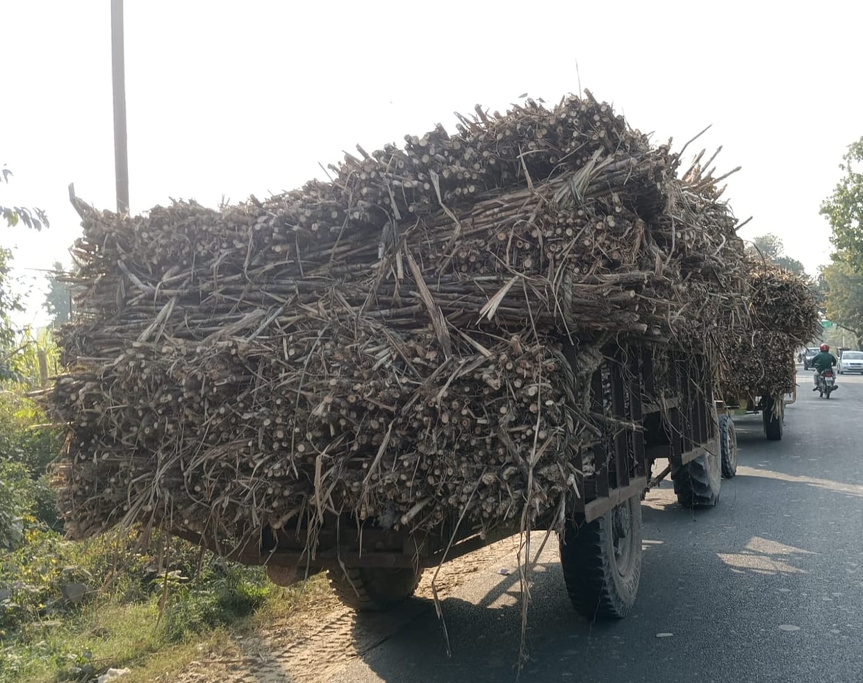 The vehicles loaded with sugarcane running on the roads do not have reflectors, the responsible are unaware