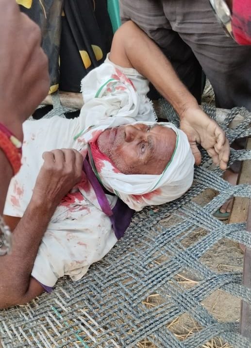 Two injured in bull attack, referred to Basti