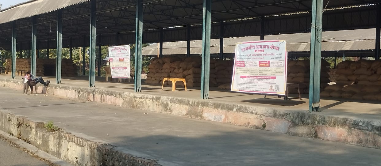 Purchasing centers lagging behind the target, 72.5 percent paddy remains to be purchased