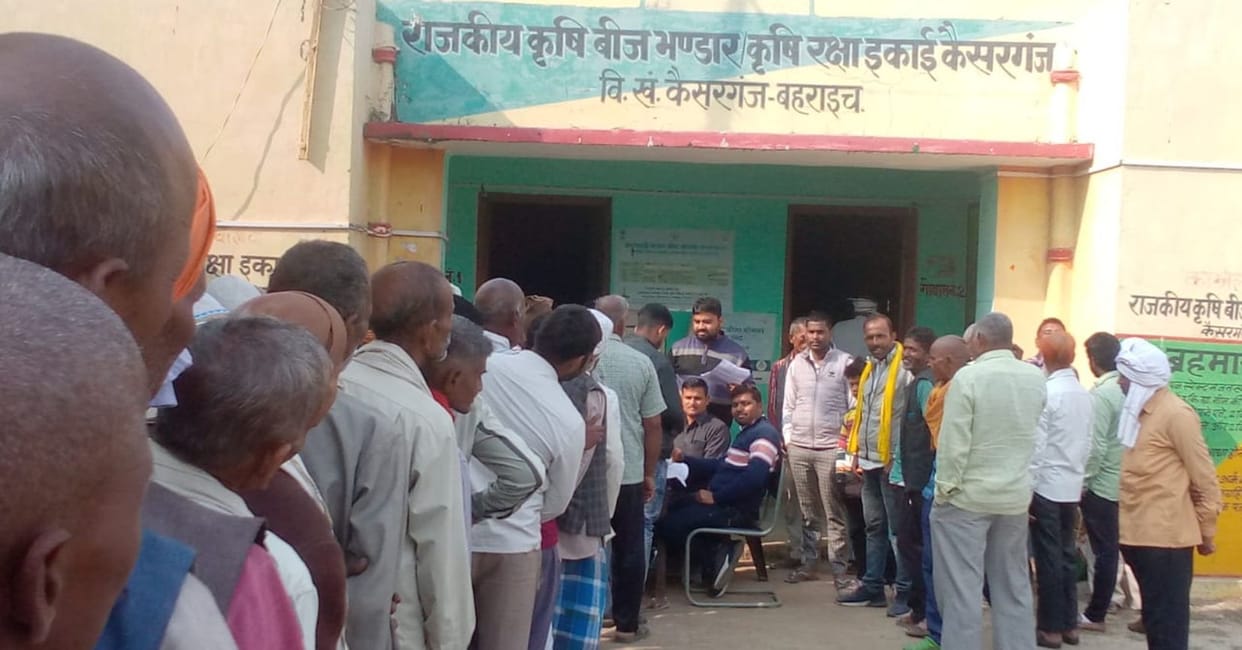 Long queue of farmers to get subsidized wheat seeds
