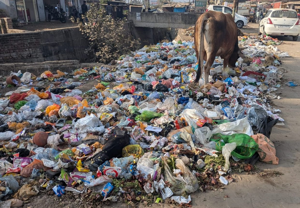 All sanitation workers in Baddi on leave, garbage not picked up