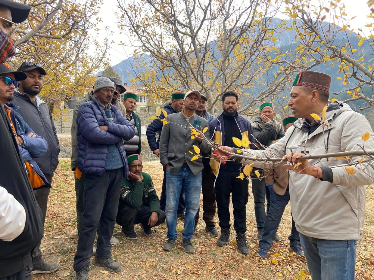 One day workshop on apple sorting and training at Sangla