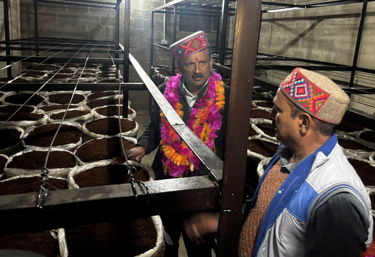 Mushroom exhibition center inaugurated in Kathogan