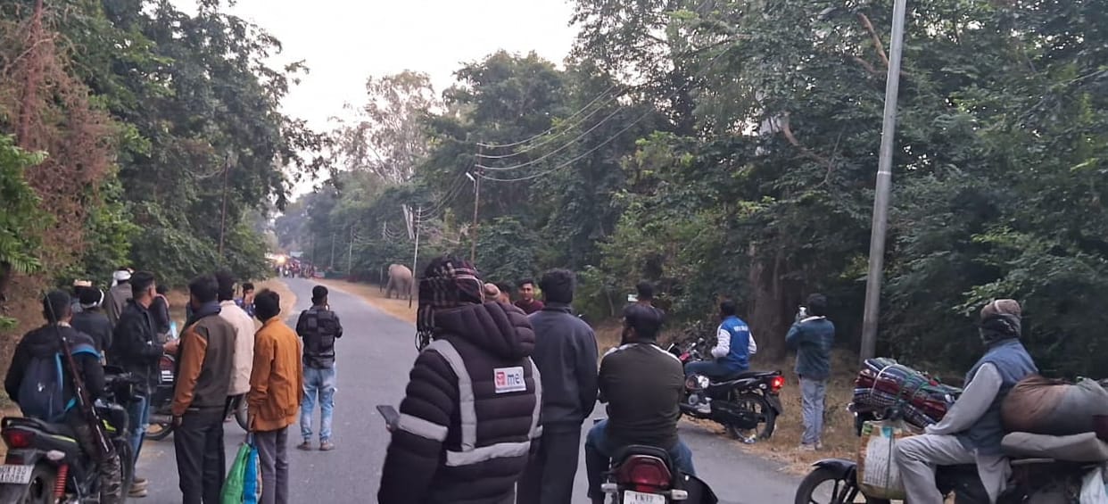 Staff vehicle stuck between elephants in Lakdaghat