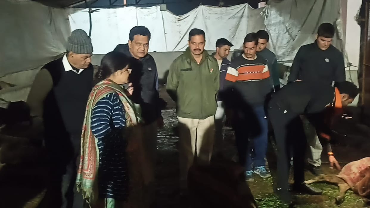 Bajrang Dal creates ruckus in Gaushala over death of cows