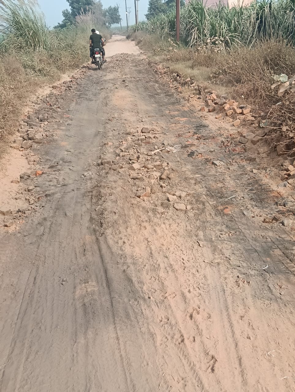 How will sugarcane carts pass through the dilapidated Makhmulpur-Dangaul Rajbaha track?