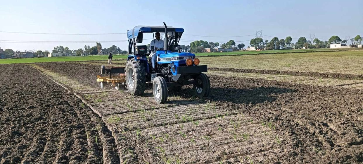 Wheat crop damaged in 8 acres of field due to insects and caterpillars