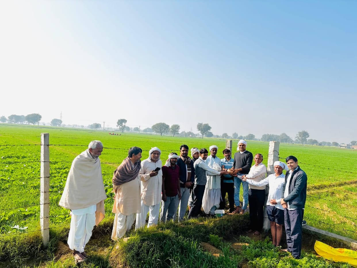 As per the wish of IRS's mother, his ashes were immersed in the fields.