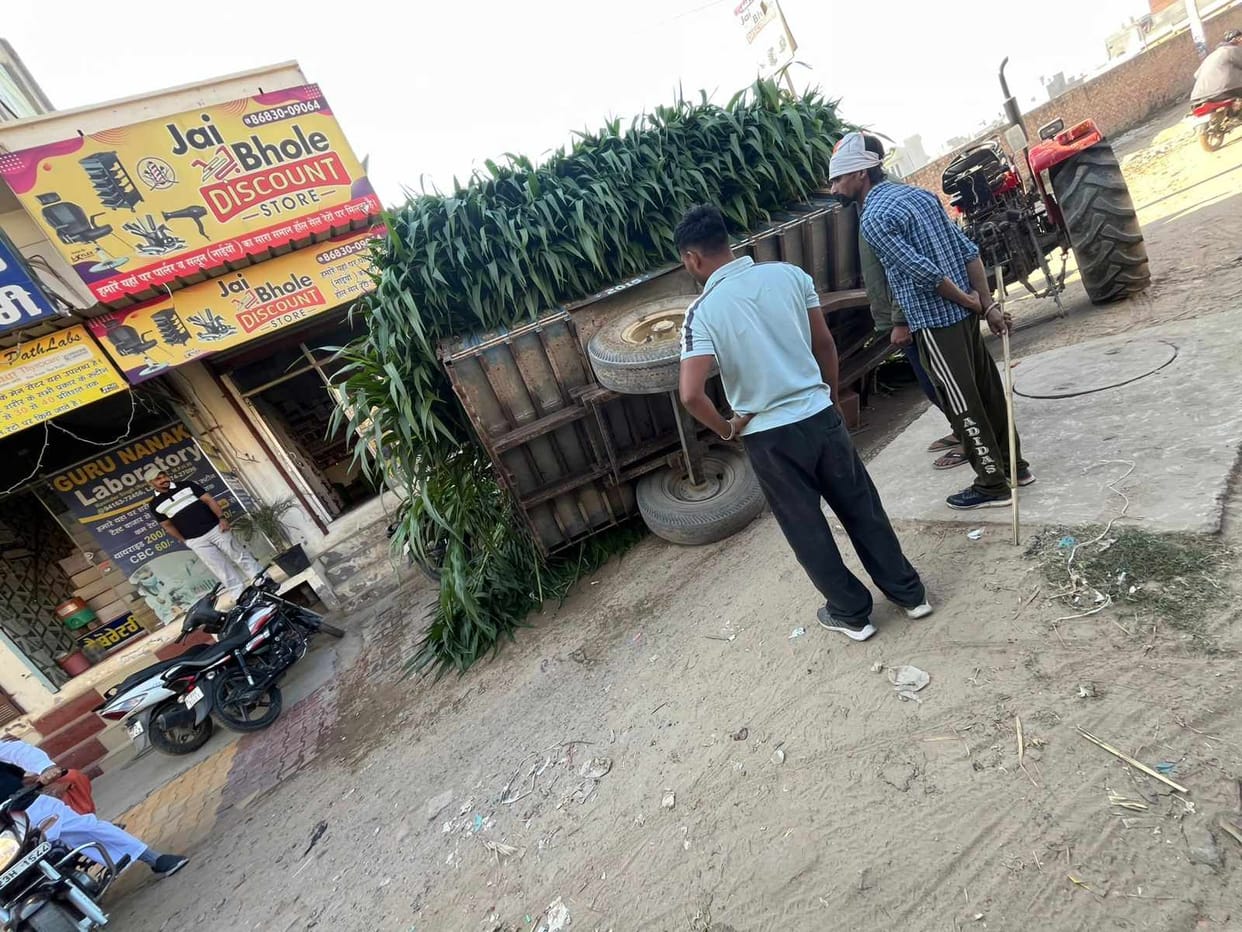 Trolley overturned due to wheel stuck in road pothole, construction not done due to lack of budget