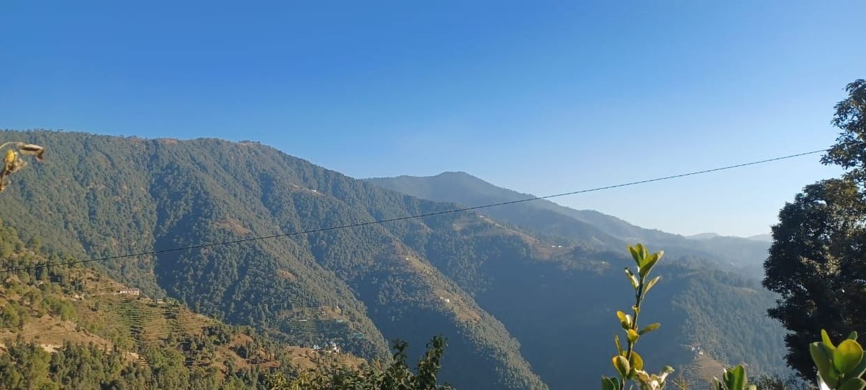 Woman dies after falling from hill while gathering fodder delay in airlift Tehri Garhwal News