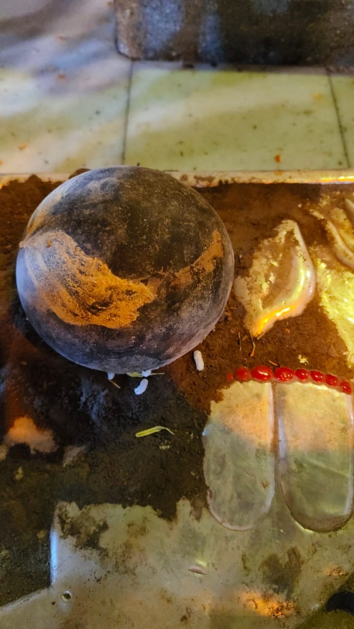 Pindi of Lord Veerbhadra kept at the feet of Mother Goddess for relief from drought