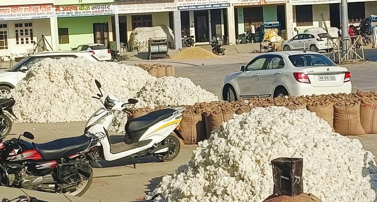Cotton arrivals are low but prices are getting high