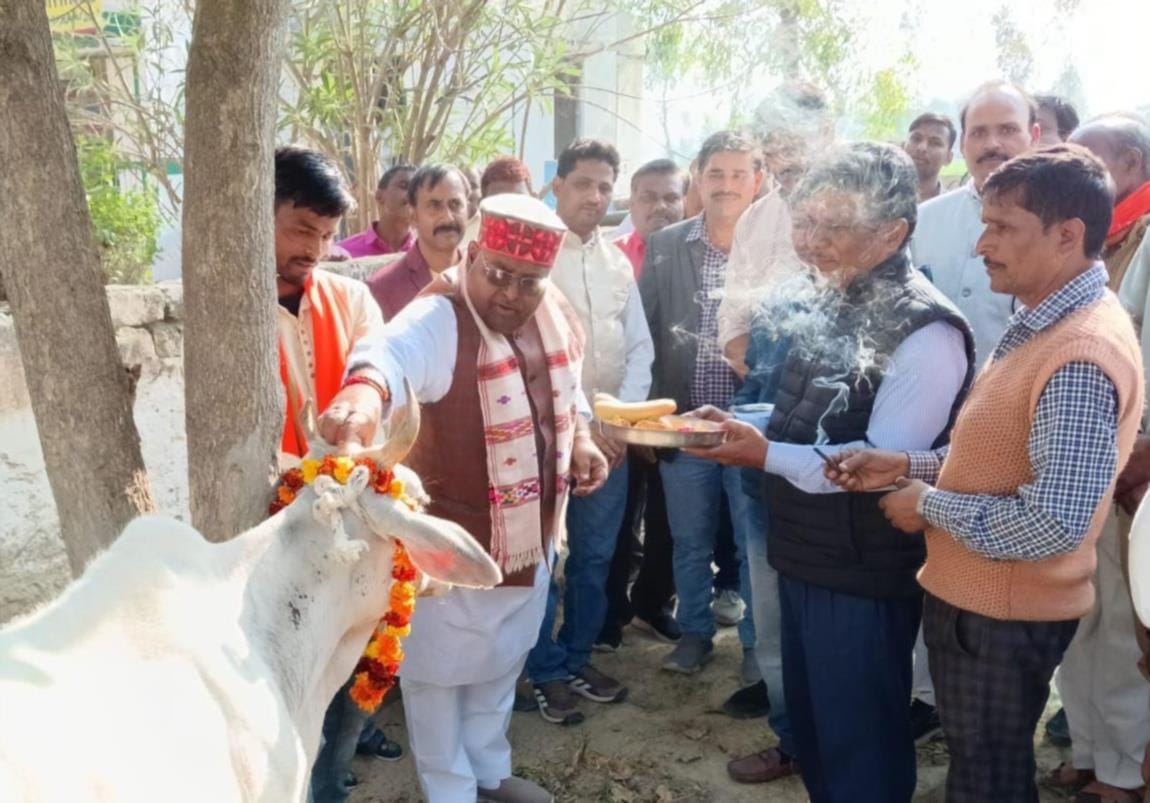 475 cattle were treated with medicines