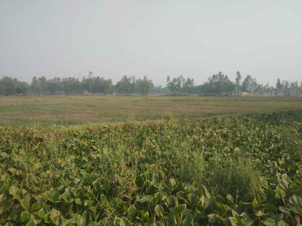 Bakulahi's water gave pain to the farmers of Dhamoli