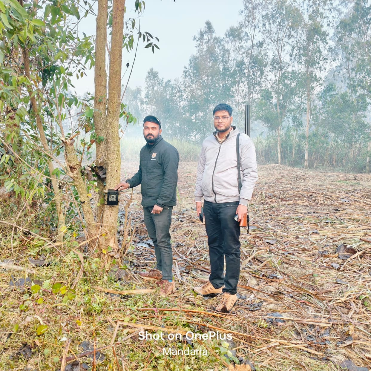 Panic persists despite tiger not being sighted