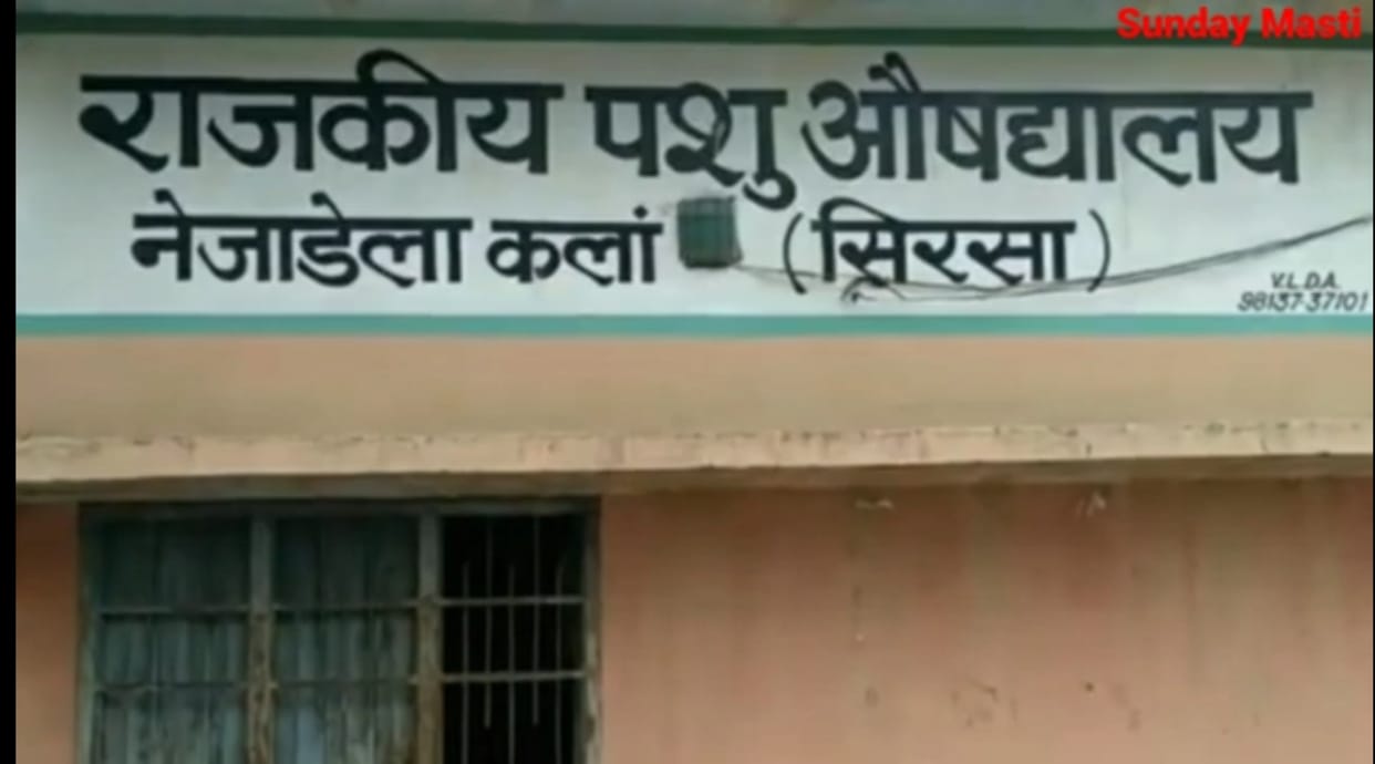 The appearance of veterinary hospitals and treatment centers will change in six villages, Rs 82 lakh will be spent