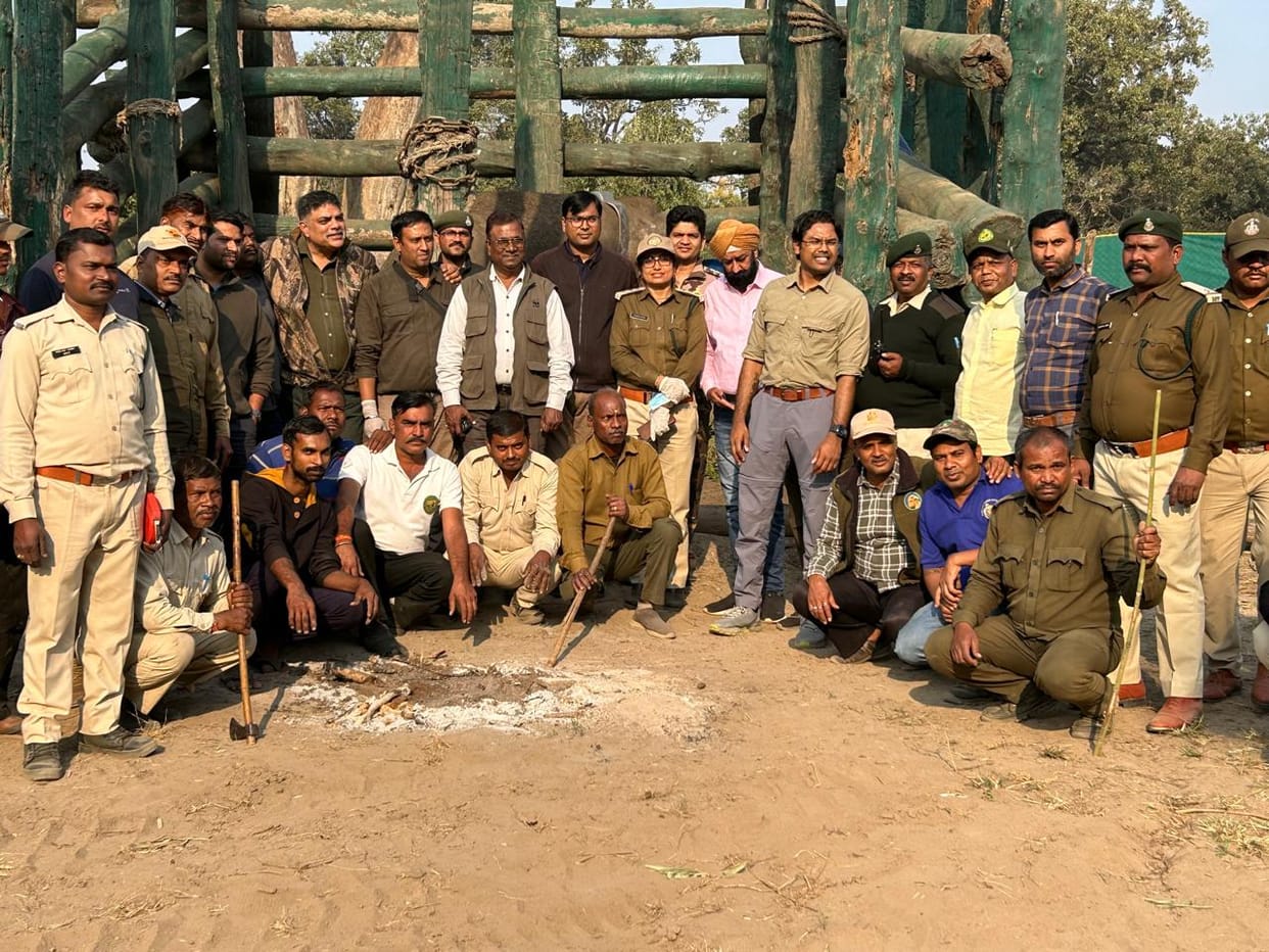 Umaria News Wild elephant released in forest with collar BTR management will keep an eye on it