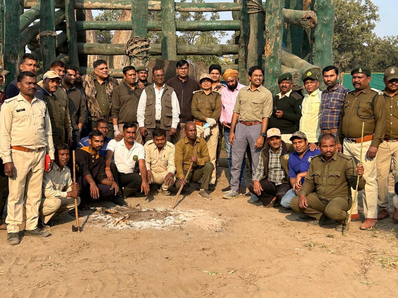 हाथी को जंगल में छोड़ते वन विभाग के कर्मचारी