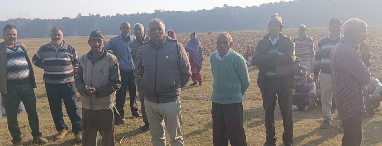 Protest against illegal farming in Pong Lake Wildlife Sanctuary