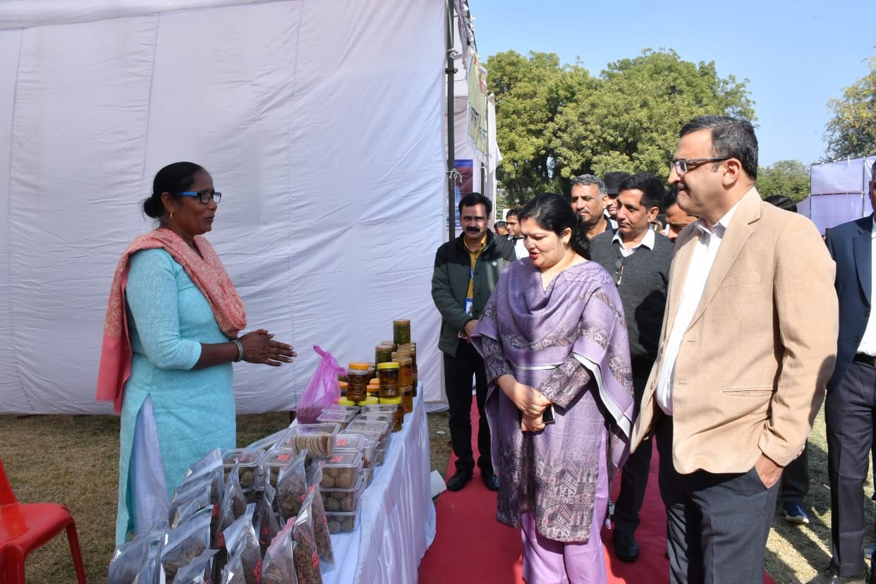 Judges visited the exhibition