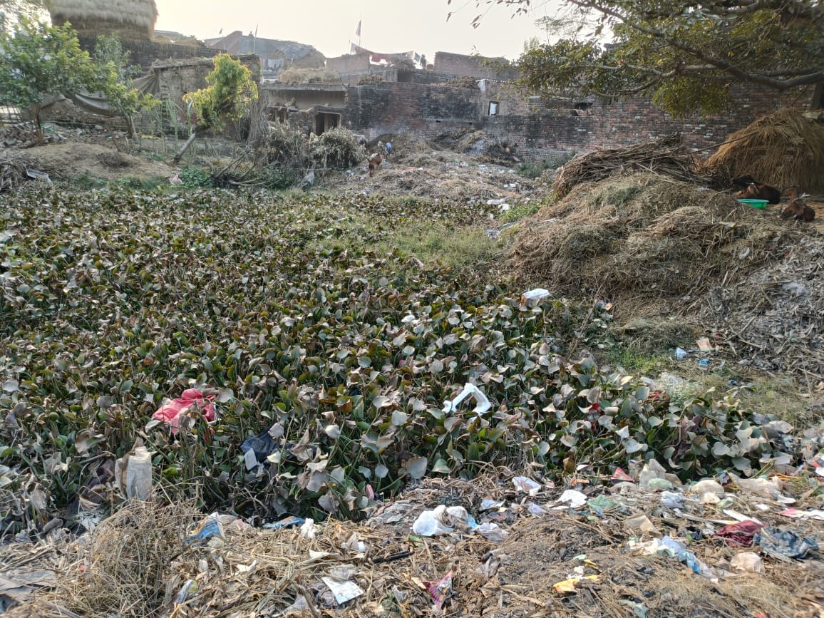 Two out of five ponds ceased to exist, permanent houses were built