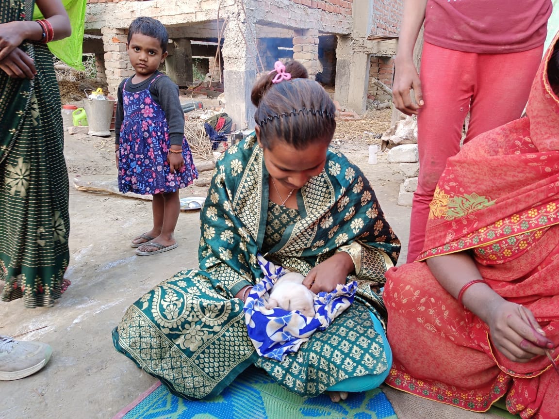 Women sang Sohar on the birth of puppies, collective feast took place in the village