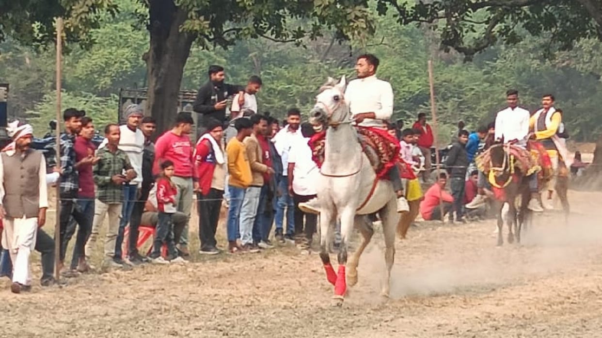 Shaukat's horse won in Sindhi and Haider's horse won in Chautala's
