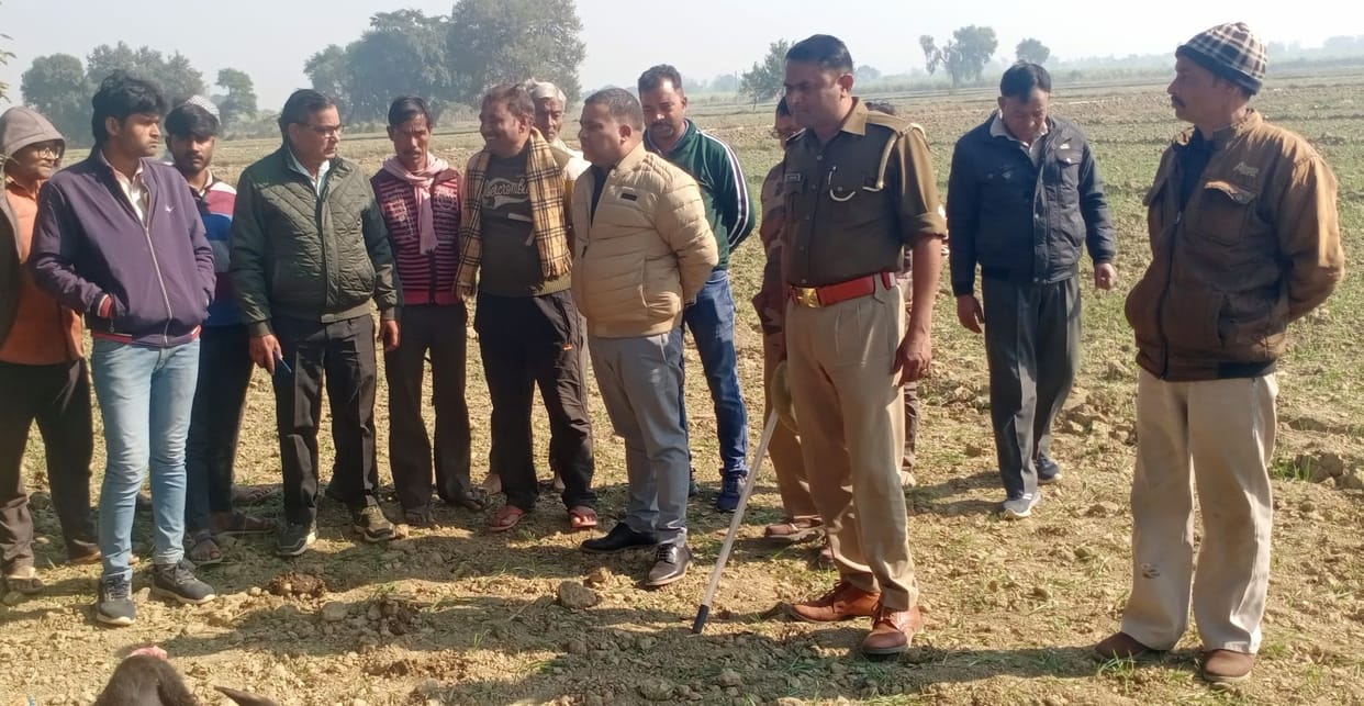 Leopard hunted a cow, panic