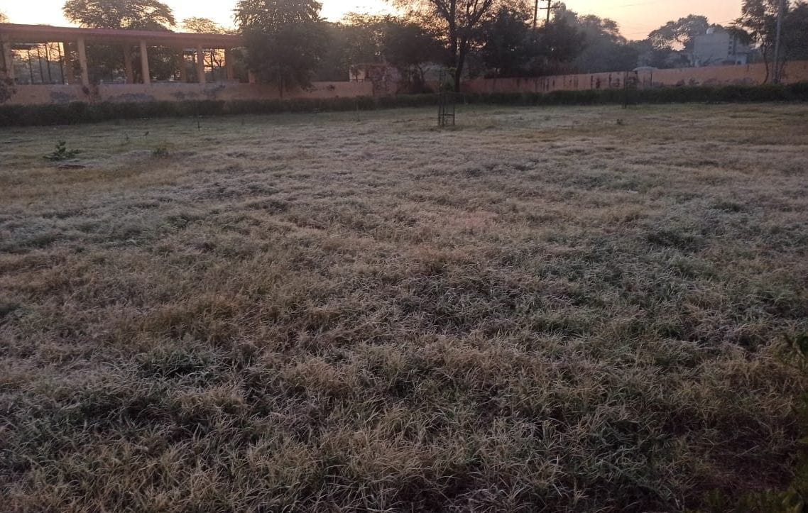 Cold in the morning due to dry frost at night