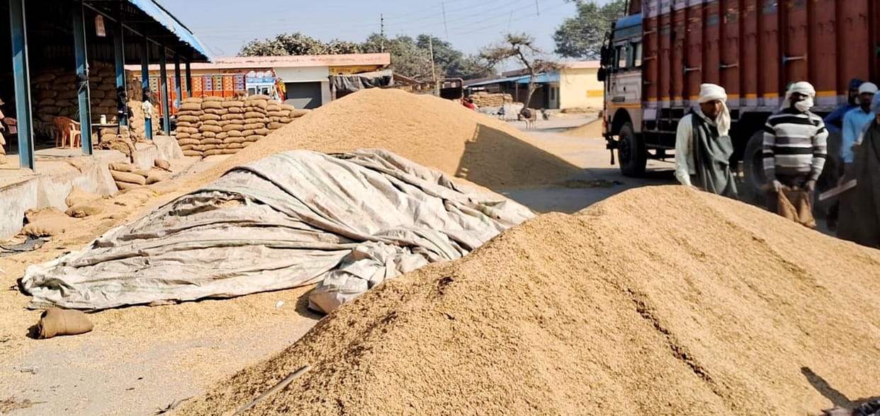 Officers from district to PCF headquarters will be trapped in paddy purchase scam