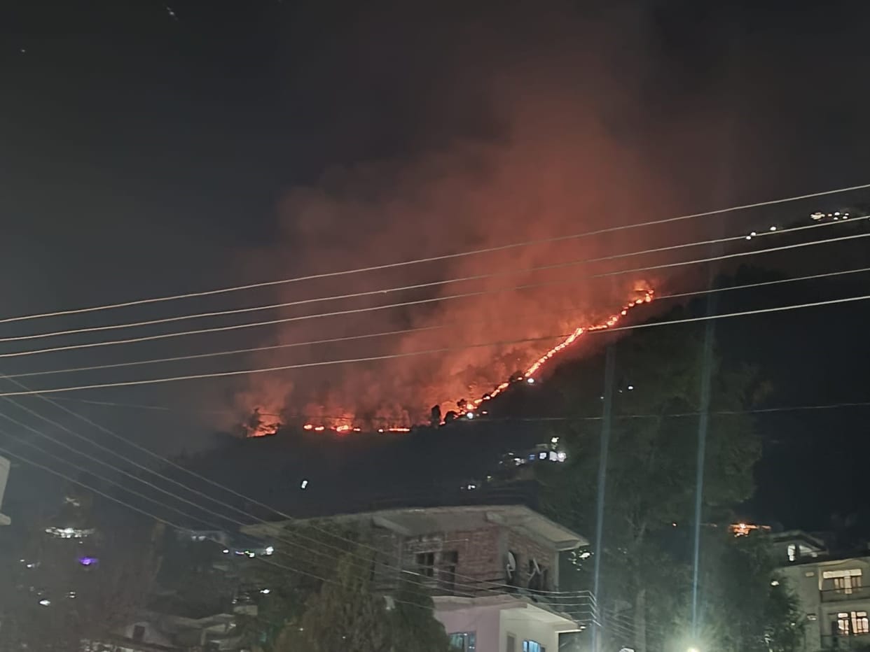 Villagers got scared after seeing the forest fire, kept guarding their houses all night