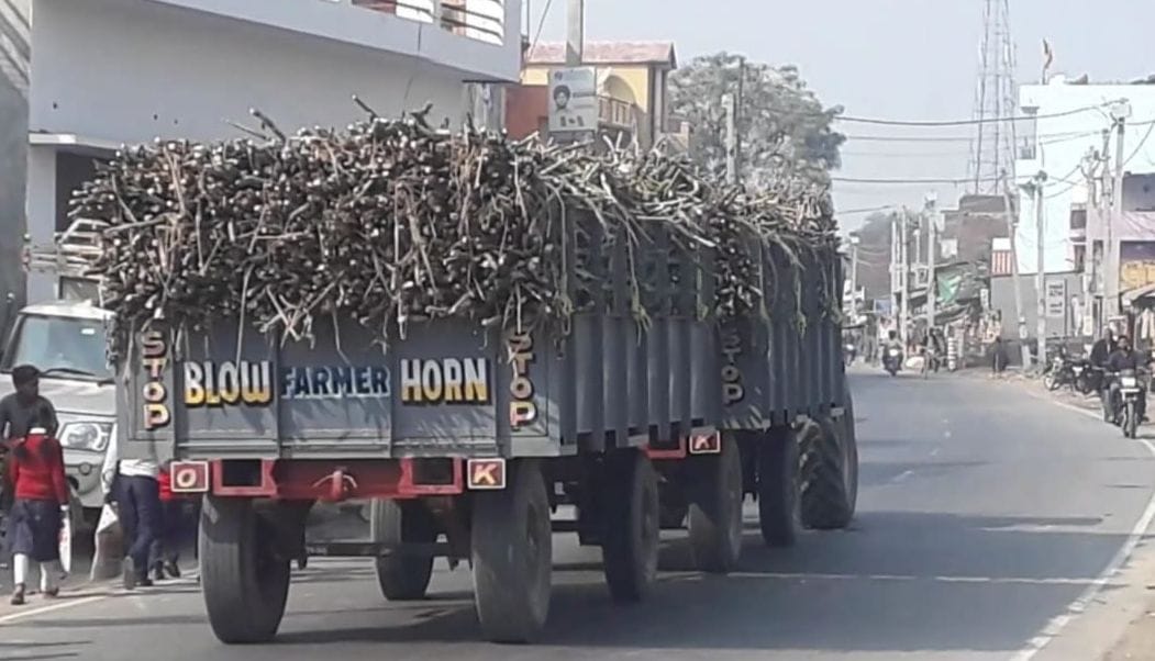 Drivers transport sugarcane by connecting two trolleys, fear of accidents