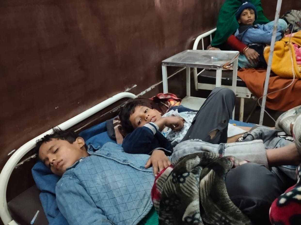 Eaten poisonous fruits and seeds mistaking them for apples, eight children fall ill