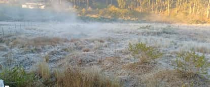 Anuppur News Amarkantak in grip of cold wave mercury close to zero white sheet of frozen snow