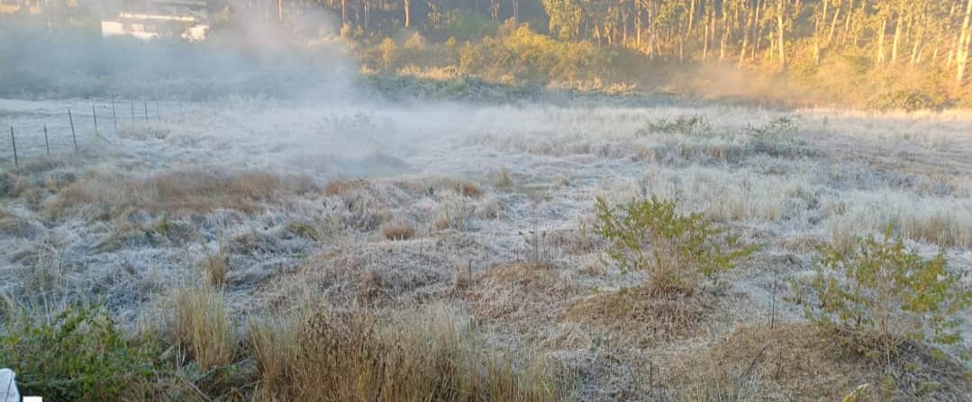 अमरकंटक में नर्मदा तट पर मैदान में बिछी बर्फ की चादर