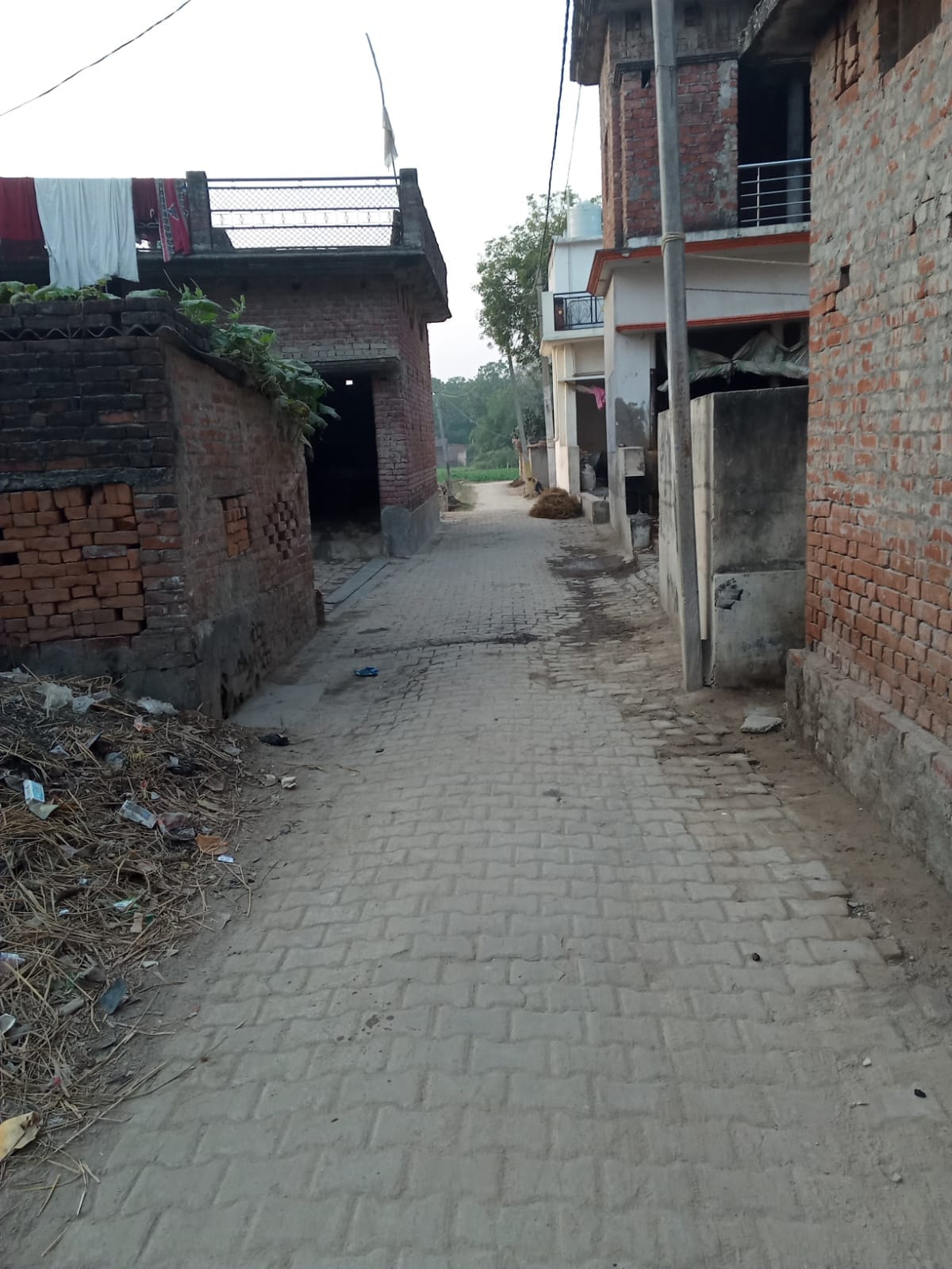 There was silence in Baridiha village due to fear of monkeys.