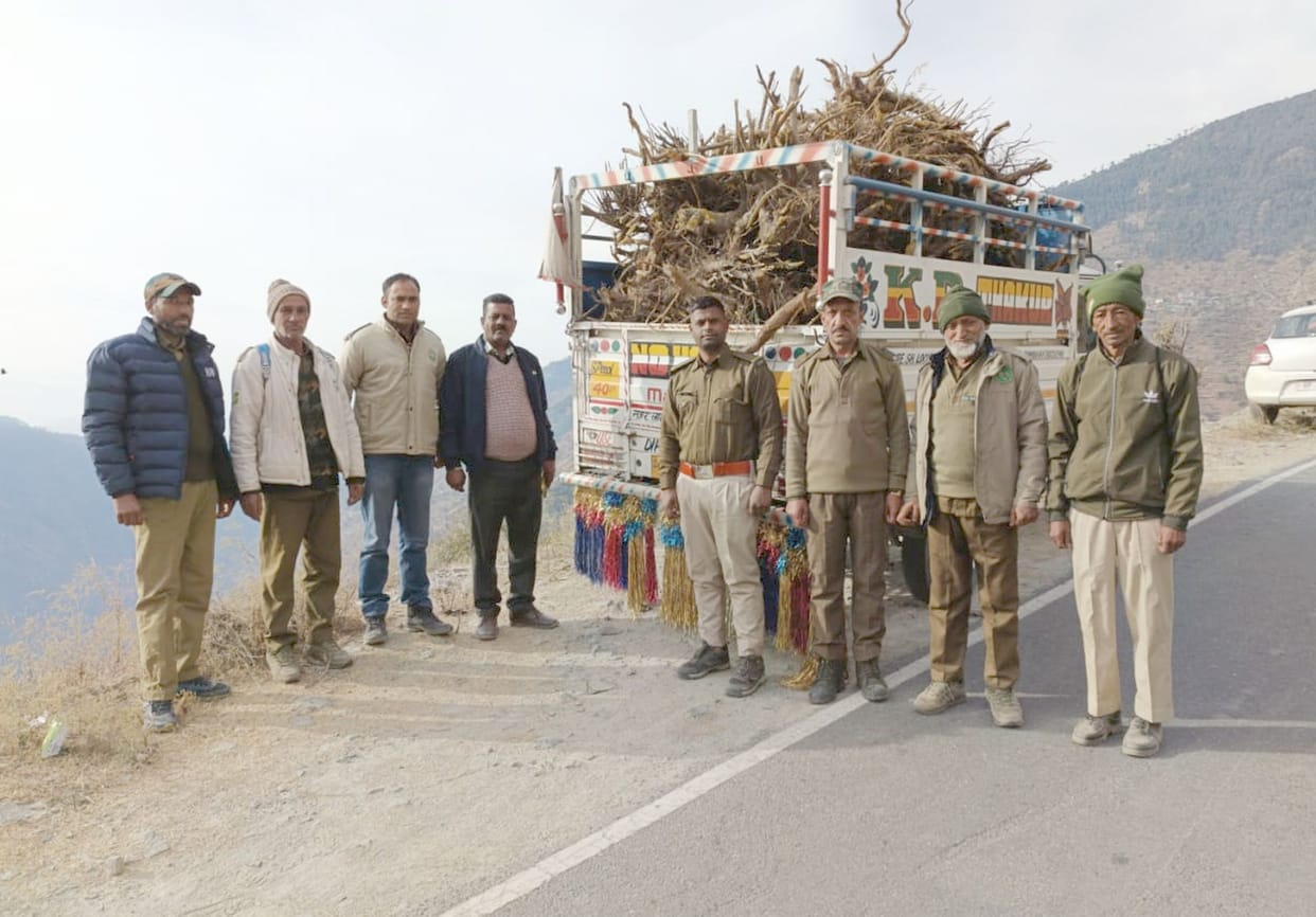 Kashmal roots depot being run without permit in Shehani drain sealed