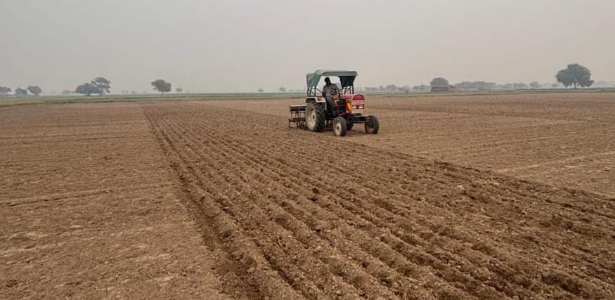 Due to drying of moisture in waterlogged areas, farmers should do late sowing till 25th