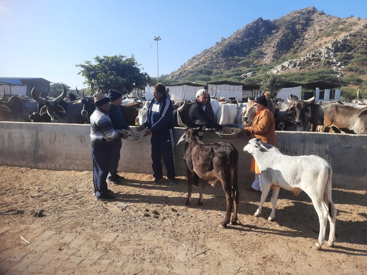 Senior citizen organization organized cow mata savamani