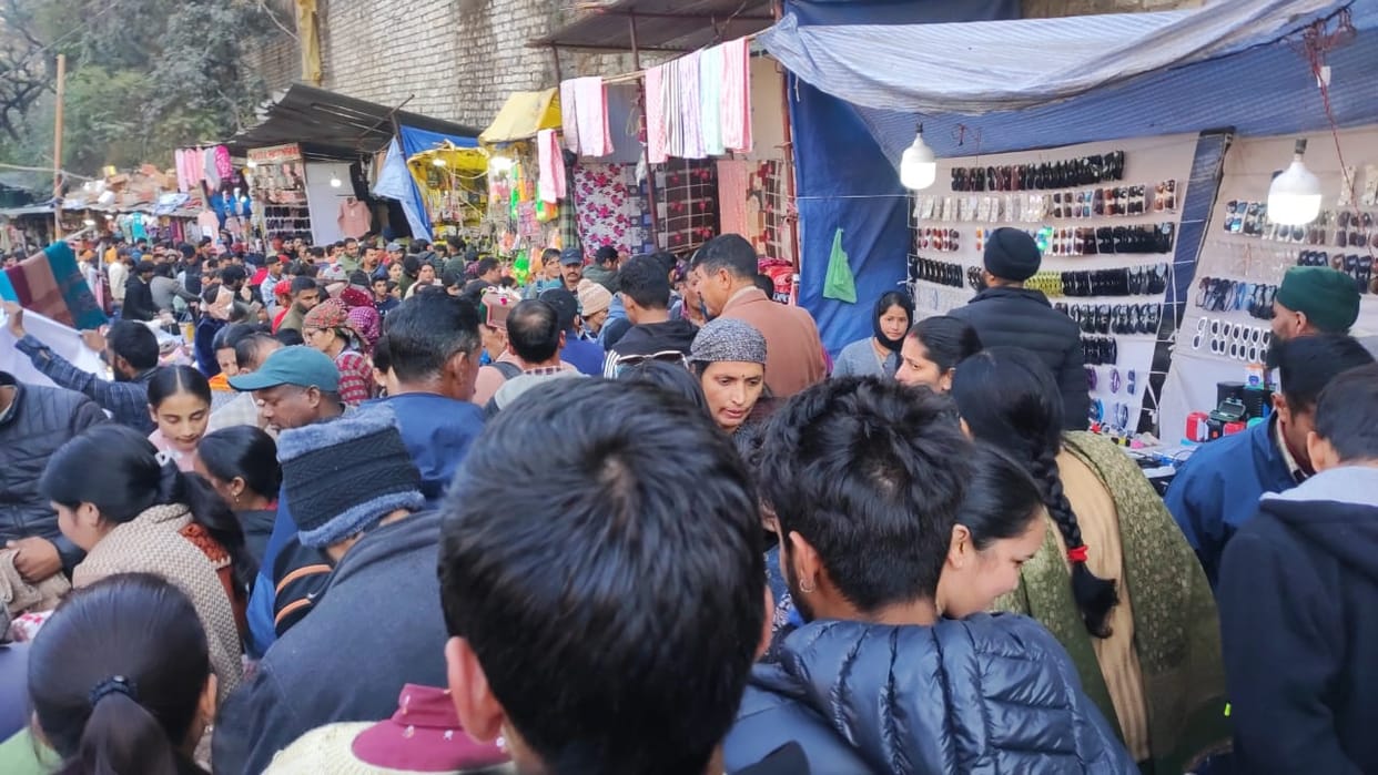 Plots decorated in Lavi fair will be removed from today