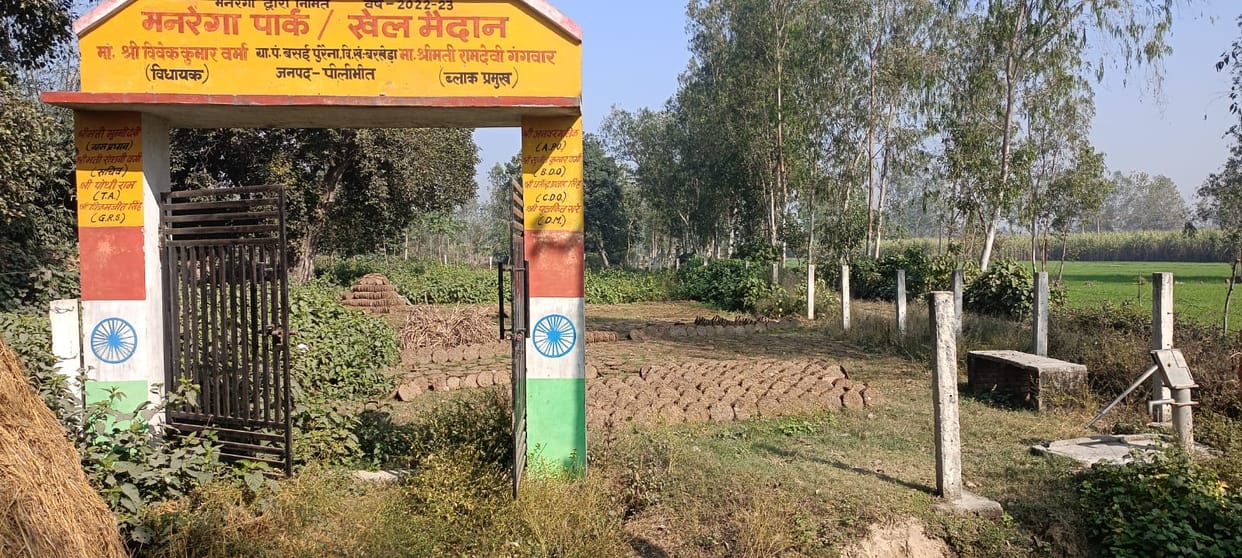 Bushes in the playground, cow dung cakes being made