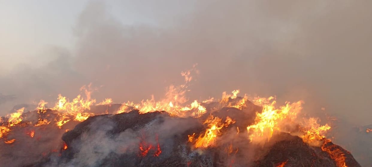 Cases of stubble burning increase in MP: 83,659 fire incidents in April, 90% related to stubble, Bhopal divisi