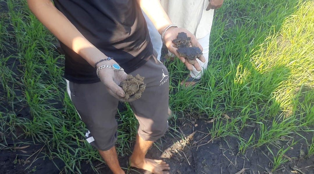 Villagers are facing increasing problems due to the ash flying from the factory, causing damage to crops