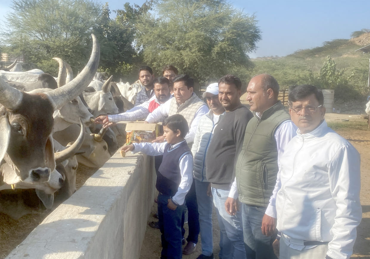 Sikandar Gehli did cow service on his birthday