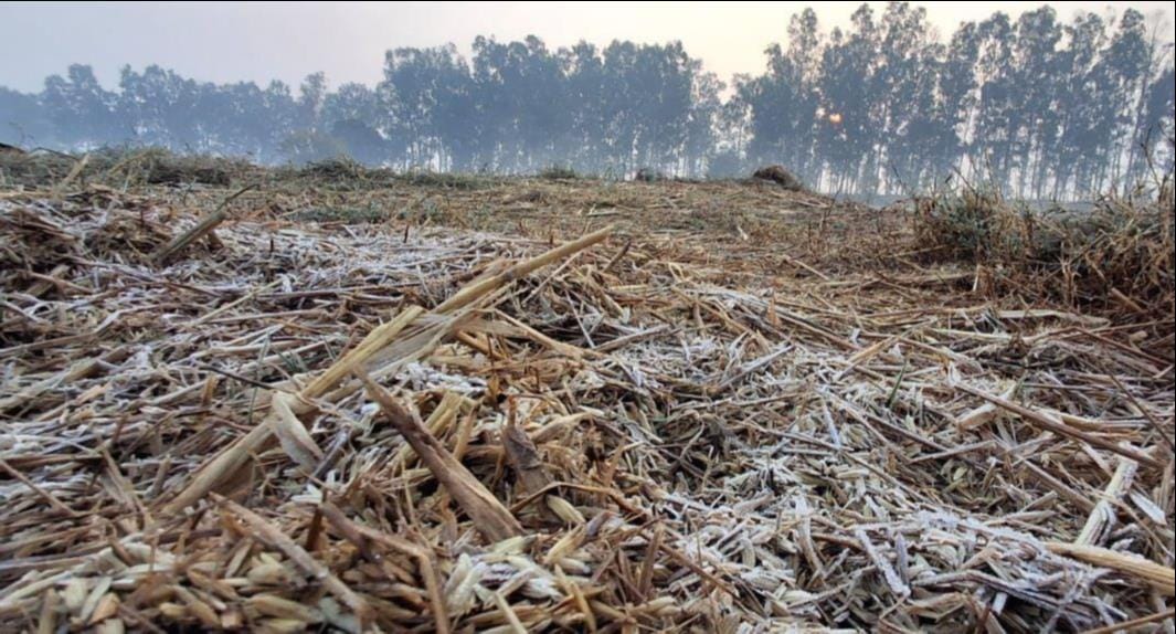 North-west wind increased the cold