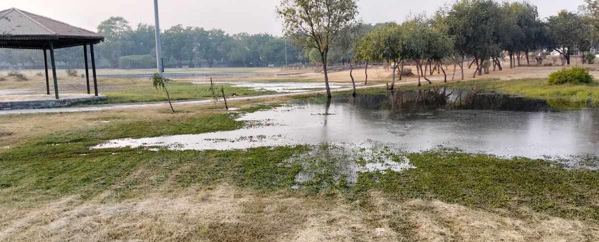 Sewerage water filled in Tau Devi Lal Town Park, foul smell spread