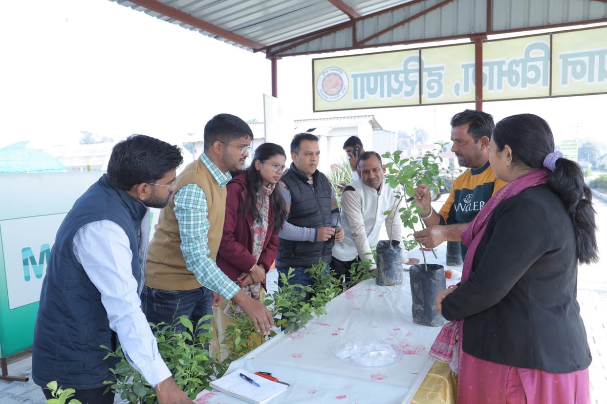 Canopy management training on citrus crops started at Fruit Excellence Center Mangeana