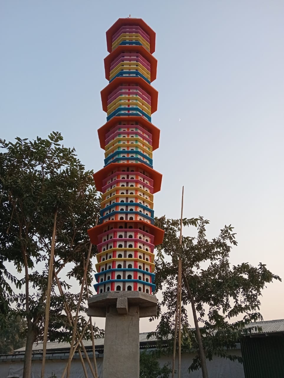 The first night shelter for birds started in North India