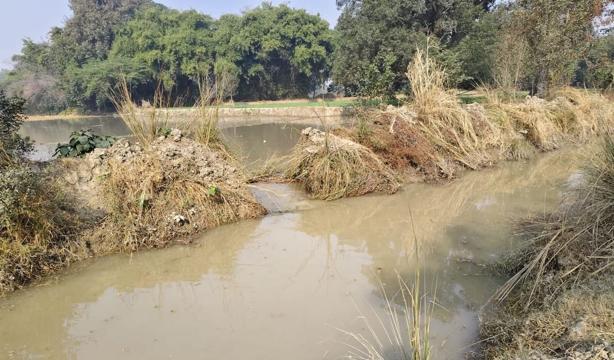 Canal track cut, 80 bigha fields submerged